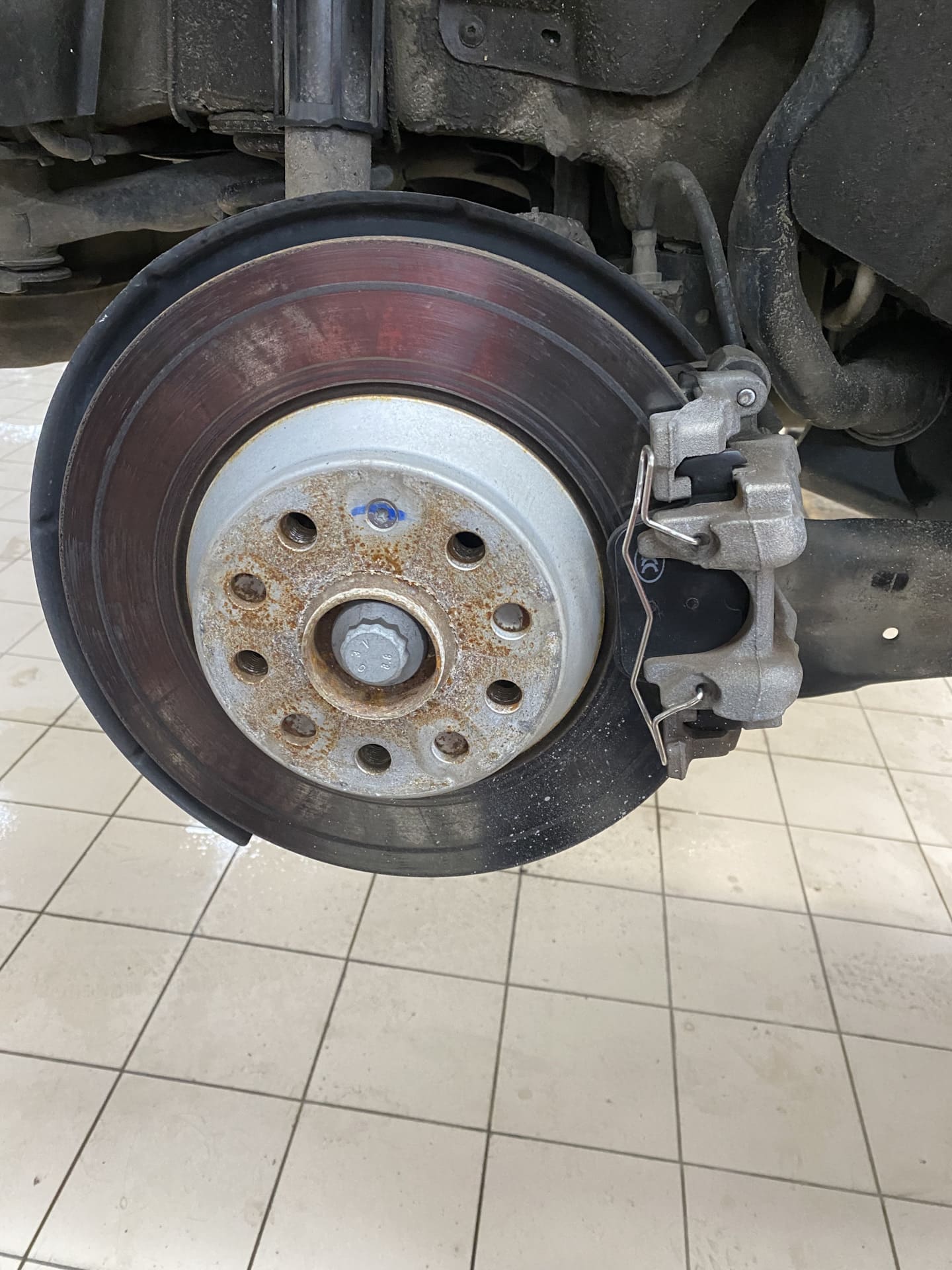Bav83-8.jpg