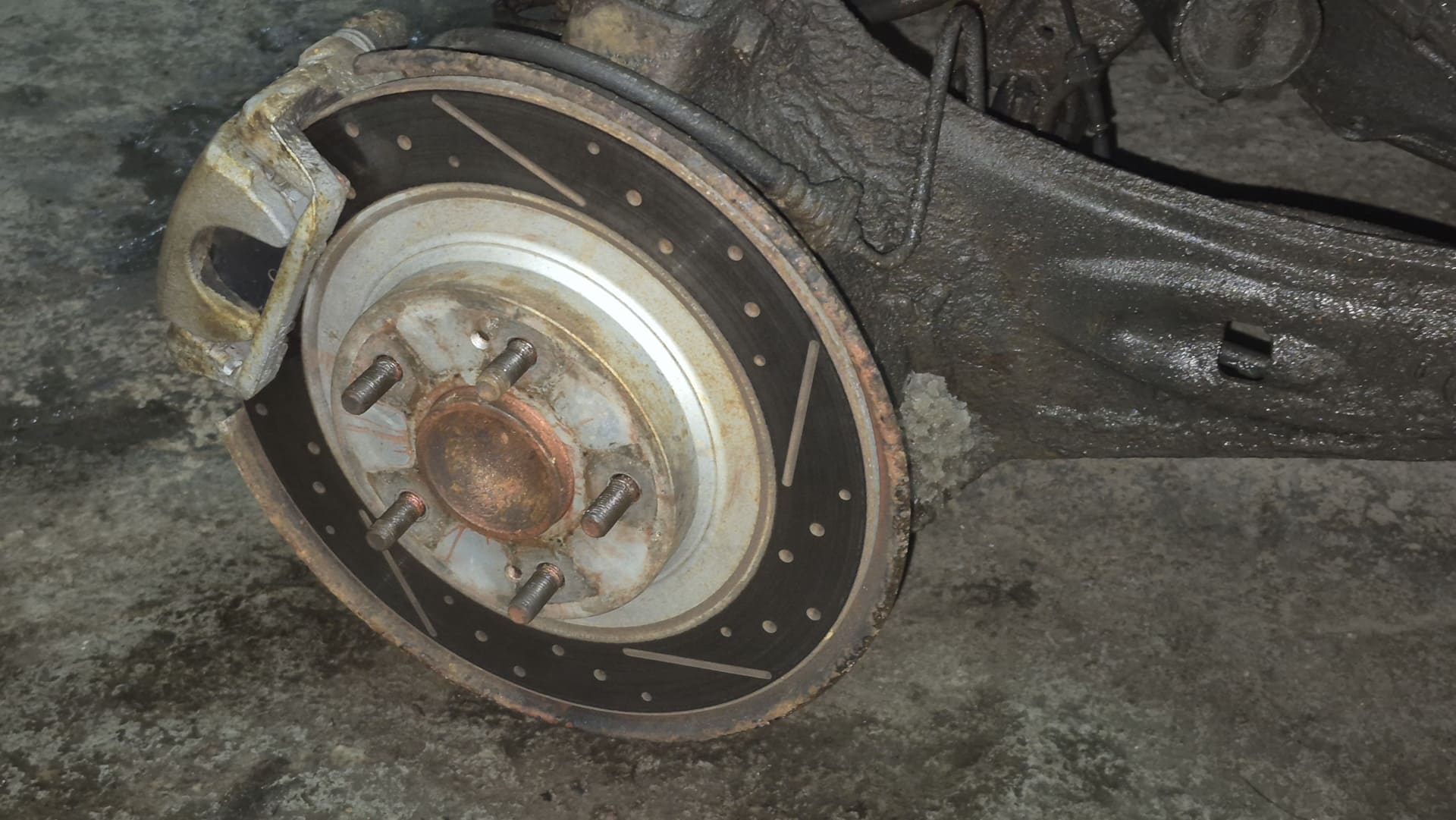 LexerSpeedyracer_3.jpg